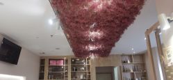 -米·日本の美甲美睫專門店