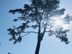 -釜山APEC峰会会议之家
