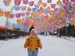 -沈阳奥体冰雪嘉年华