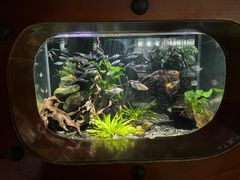 -太平洋海底世界