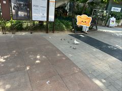 -中粮·祥云小镇