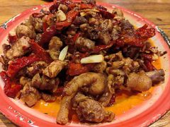 -柴窝堡22号辣子鸡·传承新疆菜