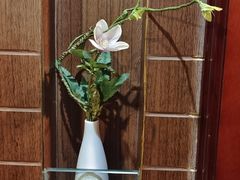 -岳阳阿波罗御庭酒店