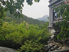 -老张烤羊(王哥庄店)