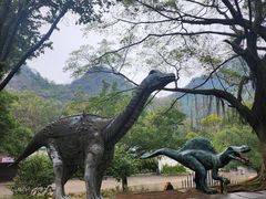 -柳州市动物园