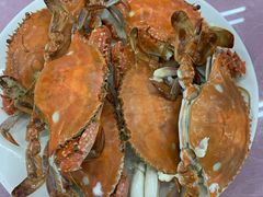 清蒸螃蟹-叶存利海鲜大馅饺子(东戴河止锚湾店)