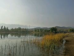 -乌素图国家森林公园