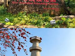 -中澳友谊花园