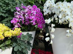 -石家庄市植物园