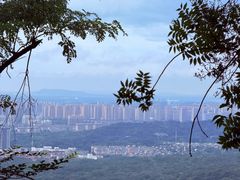 -紫金山山顶公园