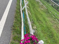 -大连铭湖国际观光牧场