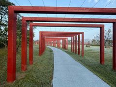 -春花秋色城市公园