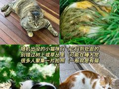 -龙华寺