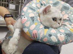 -达爱动物医院·犬猫分区·CT·复杂眼科(远洋山水分院)