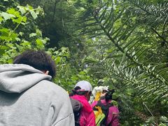 -南京市无想山景区