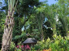 -西双版纳傣族园