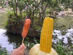 -呀诺达热带雨林