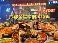 -嘉州鲜知味钵钵鸡(奎星楼店)