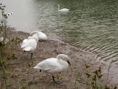 景点-西安世博园