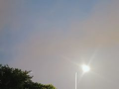 -广东花都湖国家湿地公园
