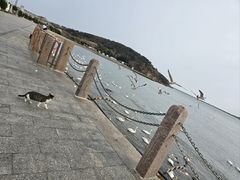 -烟墩角天鹅湖