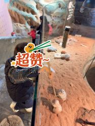 -Zoolung Zoolung动物主题公园(海信广场店)