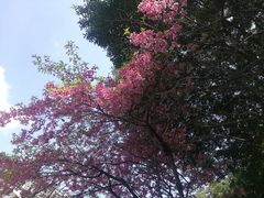 -乌山风景区