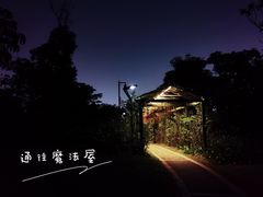 -福田红树林生态公园