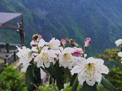 -萍乡武功山风景名胜区