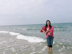 -贝壳沙滩