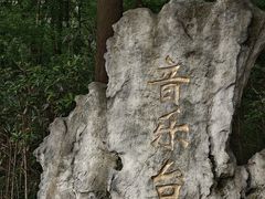 -音乐台