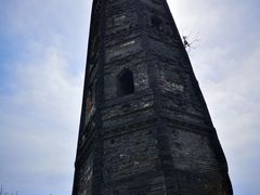 -上海佘山国家森林公园天马山园