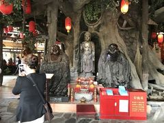 -观澜山水田园