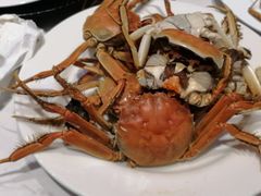 -金安大饭店-金品自助餐厅