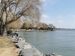 -同里湖大饭店-怡景轩中餐厅(同里古镇店)