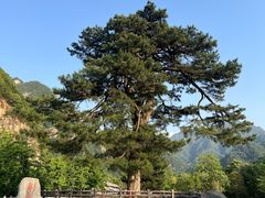 -秦岭终南山世界地质公园翠华山景区