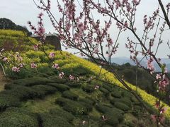 -石潭村