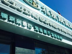 -北京观赏动物医院·24小时大型综合·猫专科·异宠专科