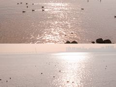 -深圳湾公园(南山区)