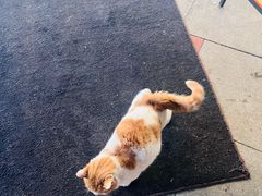 -波特曼西餐厅(南岗店)