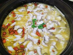 -周渝食惦酸菜鱼(青浦店)