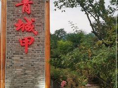 -青城甲(青城山店)