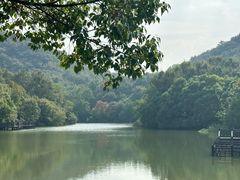 -白马涧龙池景区