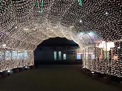 -蠡湖大桥公园