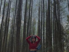 -山王坪喀斯特国家生态公园