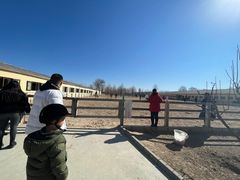 -北京群众马术培训基地