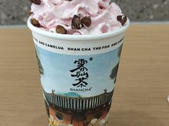 -雾与山茶(大禹城店)