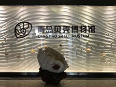 -青岛贝壳博物馆