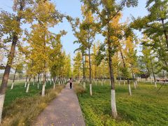 -汉长安城未央宫国家考古遗址公园