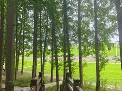 -南京金牛湖风景区